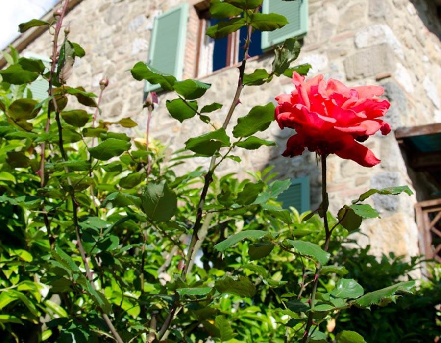 Casole dʼElsa Tenuta Colombaio المظهر الخارجي الصورة